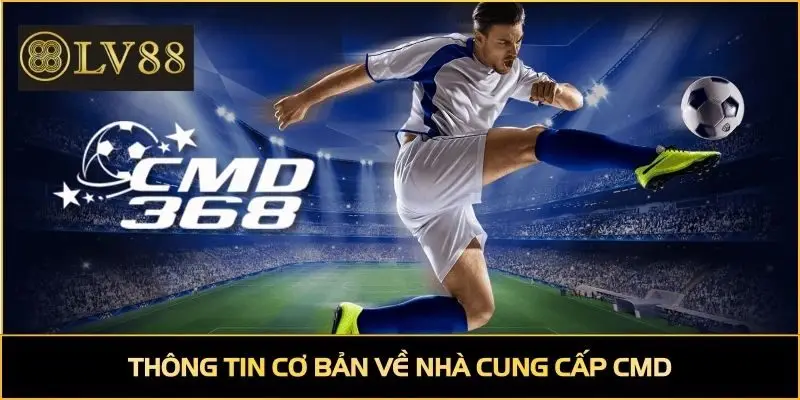 Thông tin cơ bản về nhà cung cấp CMD