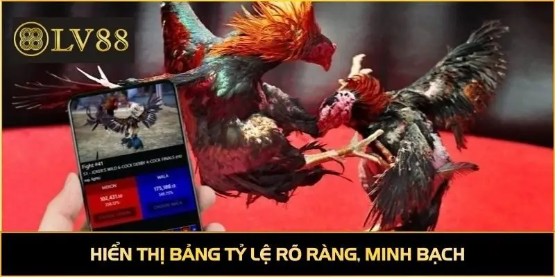 Hiển thị bảng tỷ lệ rõ ràng, minh bạch, đặt cược nhanh chóng