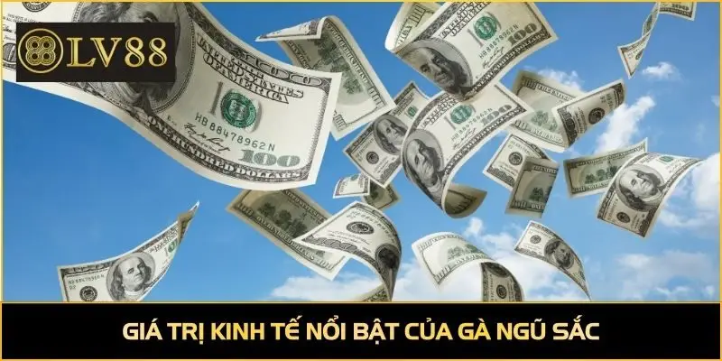 Giá trị kinh tế nổi bật của gà ngũ sắc