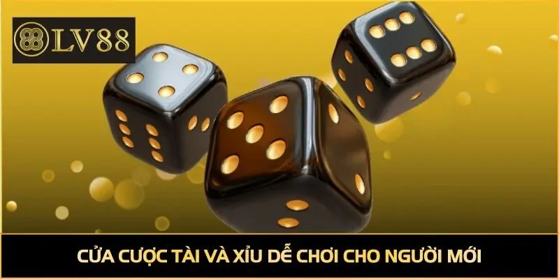 Cửa cược Tài & Xỉu dễ chơi cho người mới
